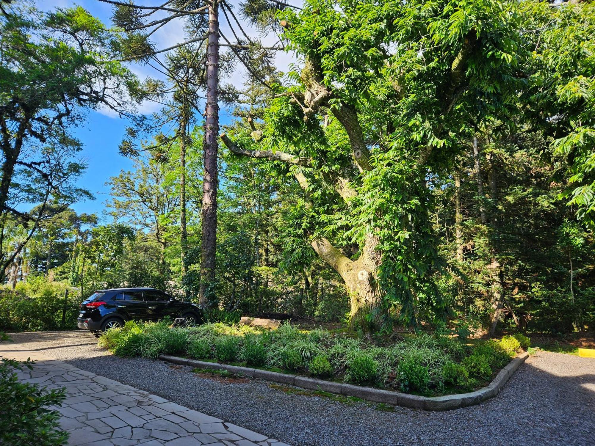 Cantinho Das Oliveiras. Gramado Exterior photo